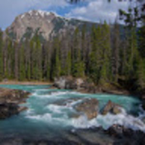 Meet your Posher, Joann